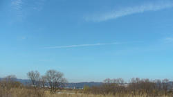 SANY0456.jpg