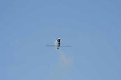 IMG_5153-blog.jpg