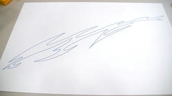 SANY0042-blog.jpg