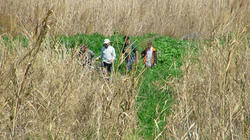 SANY0031-blog.jpg