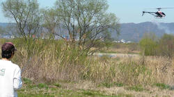 SANY0036-blog.jpg