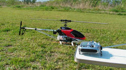 SANY0192-blog.jpg