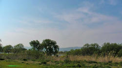 SANY0193-blog.jpg