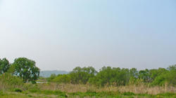 SANY0191.jpg