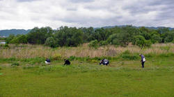 SANY0187-Blog.jpg