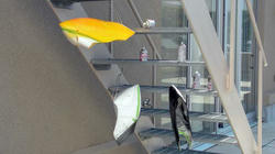 SANY0003-Blog.jpg