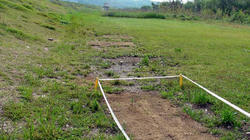 SANY0083-blog.jpg