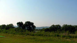SANY0085-Blog.jpg