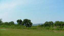 SANY0181.jpg
