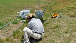 SANY0242-blog.jpg