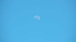 SANY0220-Blog.jpg