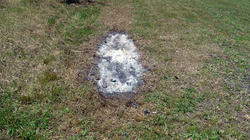 SANY0241-Blog.jpg