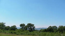 SANY0219.jpg