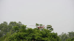 SANY0223.jpg