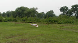SANY0224.jpg