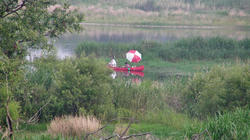 SANY0228-Blog.jpg
