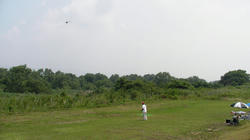 SANY0263-Blog.jpg