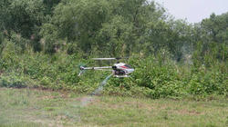 SANY0277-Blog.jpg