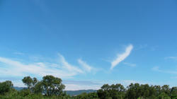 SANY0507.jpg