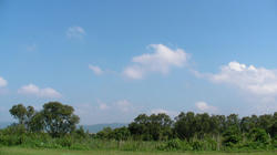 SANY0514-Blog.jpg