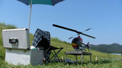 SANY0515-Blog.jpg