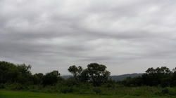 SANY0527.jpg