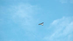 SANY0546-Blog.jpg