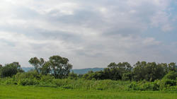 SANY0561.jpg