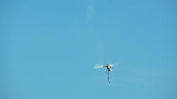 SANY0595-Blog.jpg