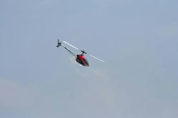IMG_5324-Blog.jpg