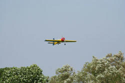 IMG_5343-Blog.jpg