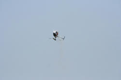 IMG_5377-Blog.jpg