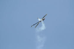 IMG_5588.jpg