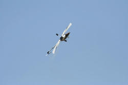 IMG_5819-Blog.jpg