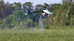 SANY0776.jpg