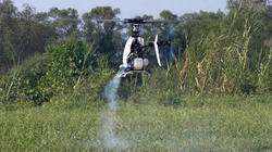 SANY0777.jpg