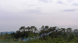 SANY0788-1.jpg