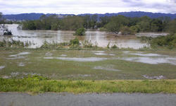 Flood4.jpg