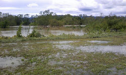 Flood5.jpg