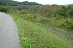 P1040300.jpg