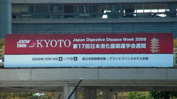 SANY0843.jpg