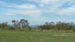 SANY0895.jpg