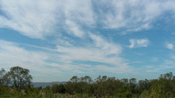 SANY0904.jpg