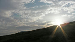 SANY1197.jpg