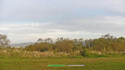 SANY1198.jpg