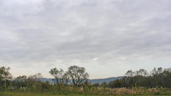 SANY1307.jpg