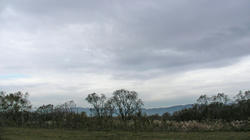 SANY1371.jpg