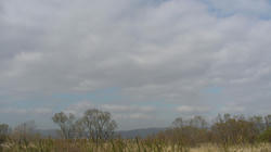 SANY1606-blog.jpg