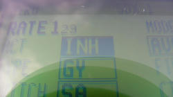 SANY1611-blog.jpg