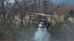 SANY1754-blog.jpg